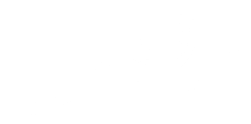 RAAHI